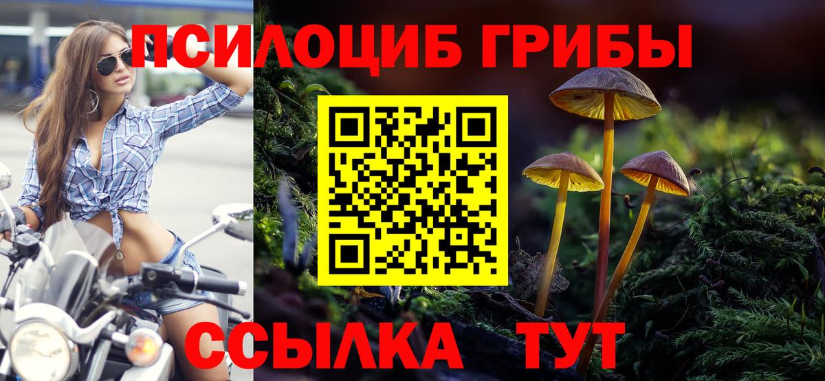 Псилоцибиновые грибы Psilocybine cubensis Канаш
